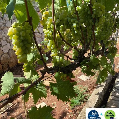 Sirius דירה סילבה